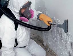 Professional Mold Removal Services in Hamlin, TX